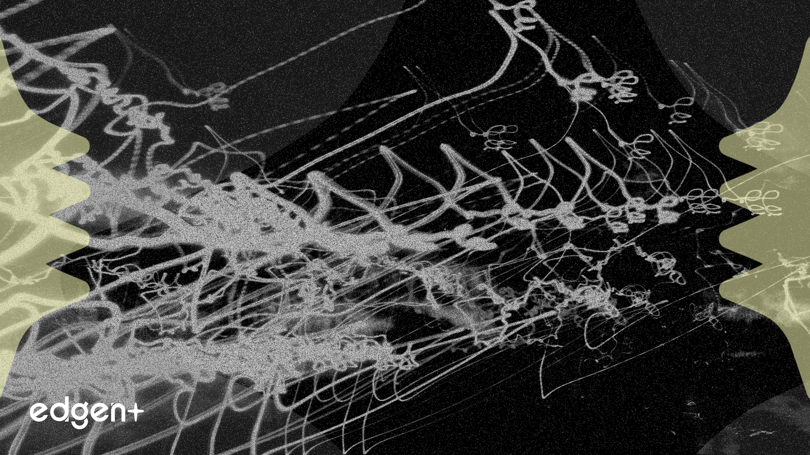 L'e-commerce atteindra 37 000 milliards de dollars en 2026 alors qu'Expedia bondit de 33%