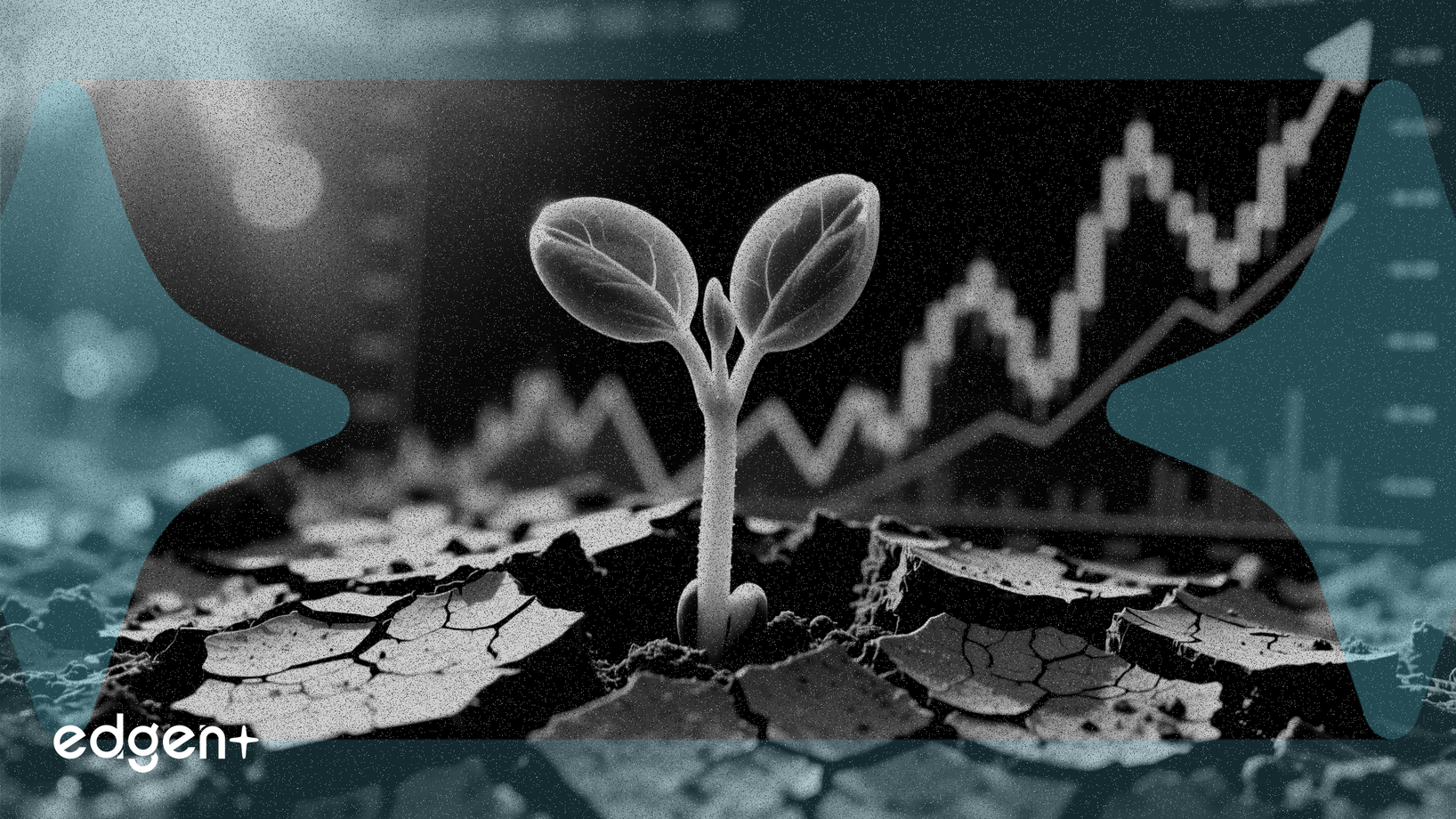 Sprouts Farmers Gana un 1,07% Mientras los Mercados Resbalan