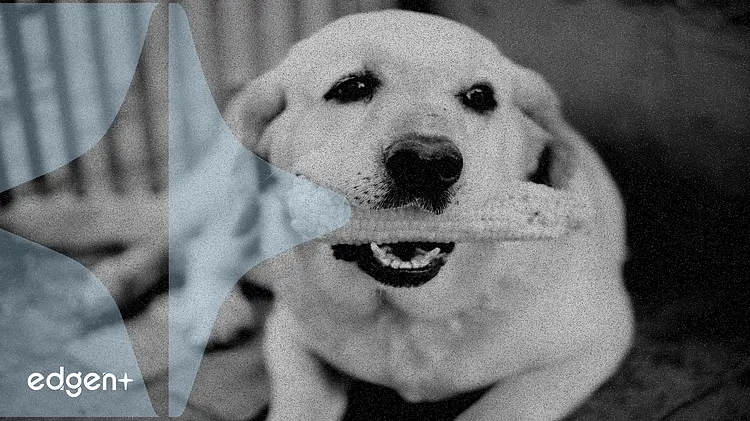 泰森食品子公司希爾郡品牌啟動大規模產品召回