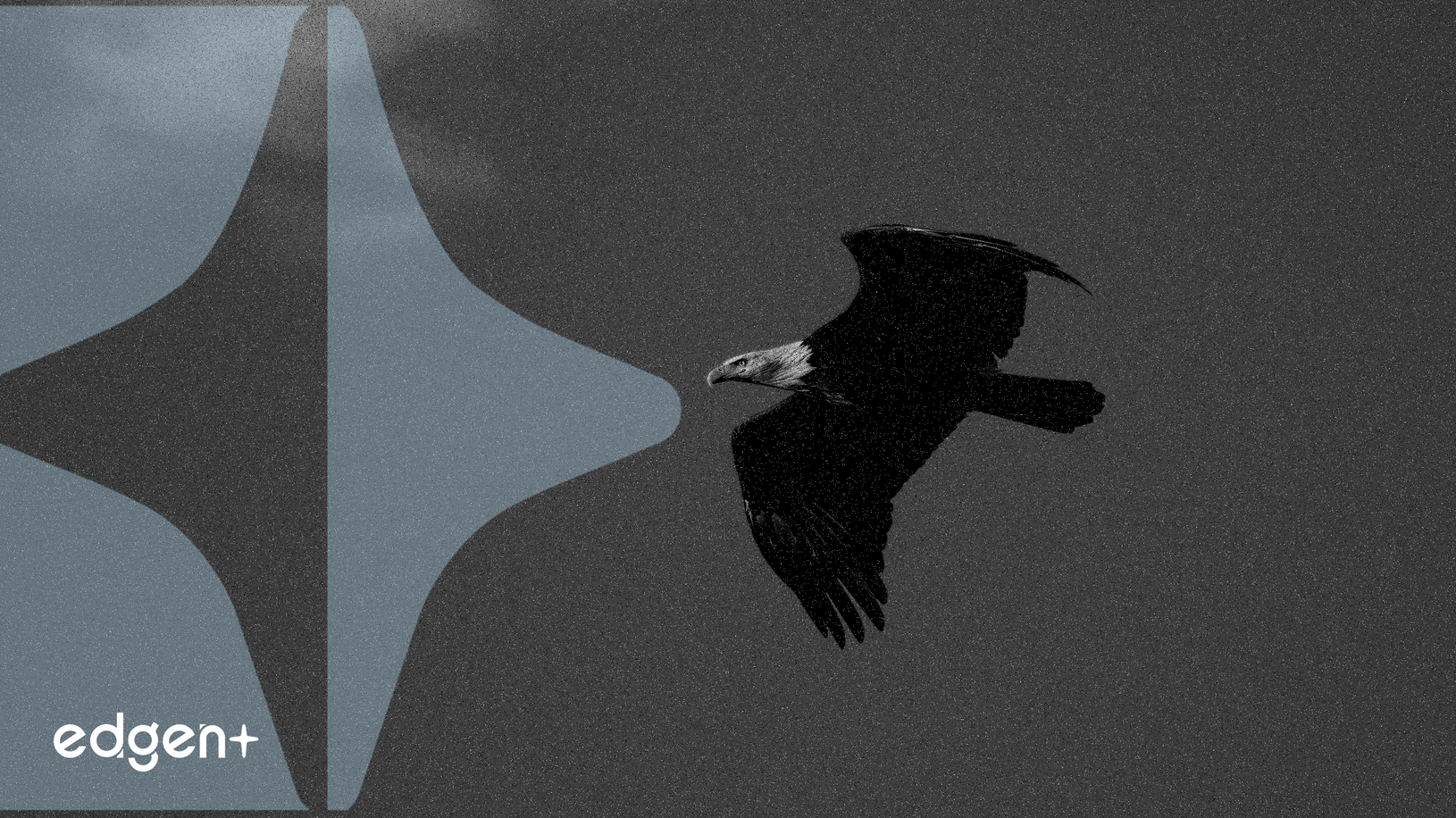 Euler 프로토콜, 통합 DeFi 생태계 구축 목표로 USD 합성 자산 출시 예정