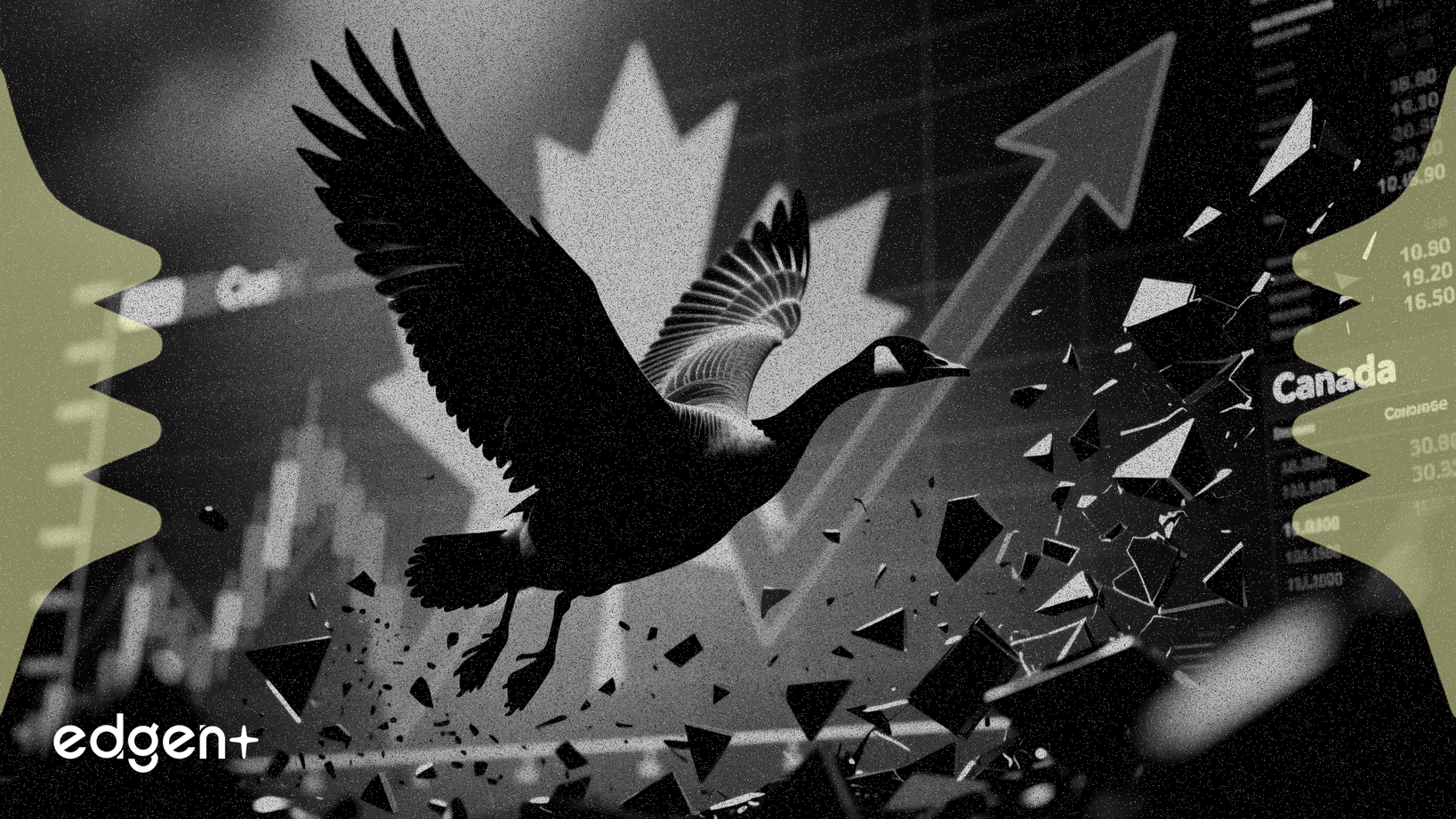 Canada Goose bị điều tra sau khi cổ phiếu sụt giảm do cảnh báo biên lợi nhuận