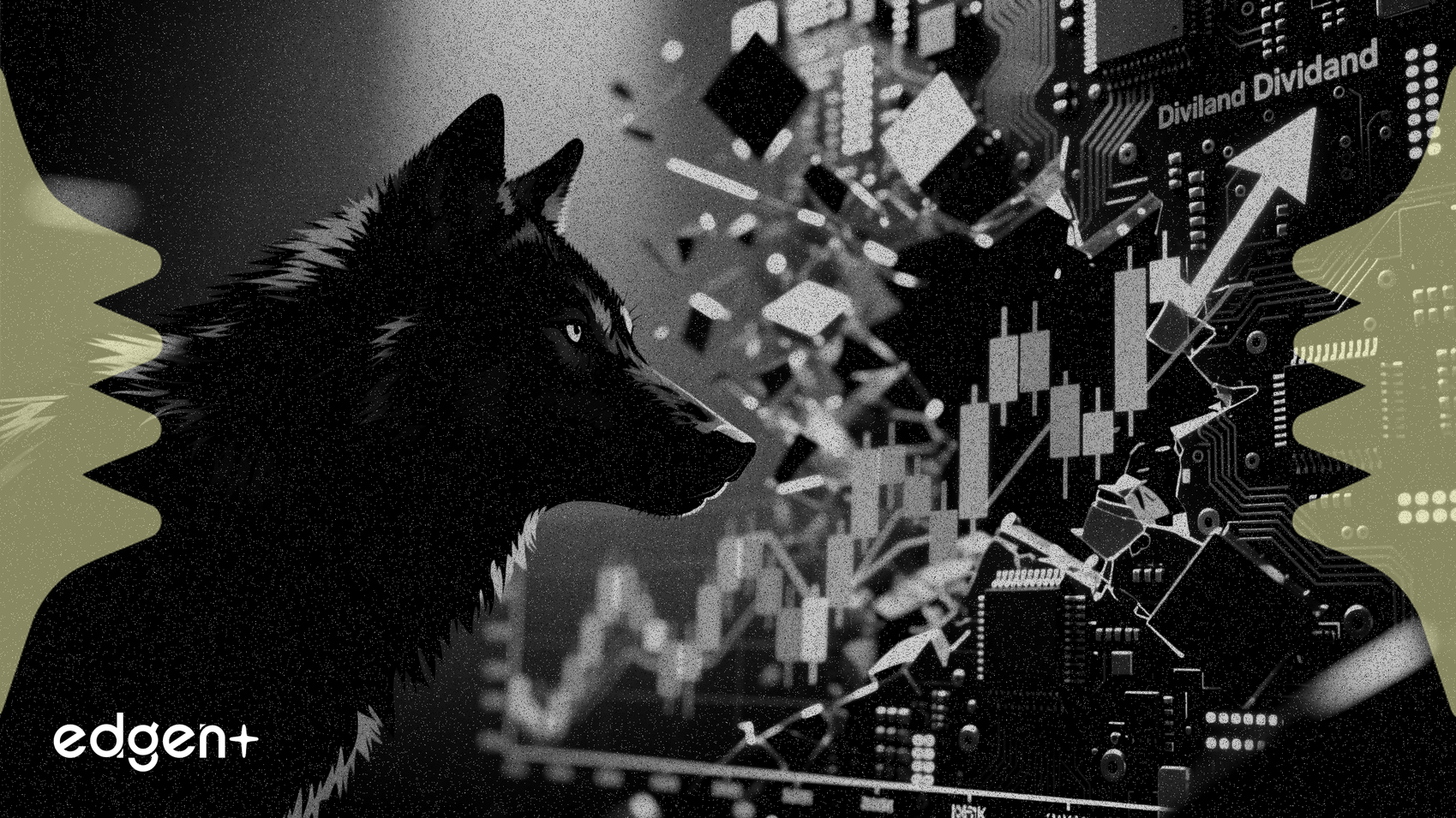 科技股动摇之际 沃尔夫研究瞄准九只股息股票