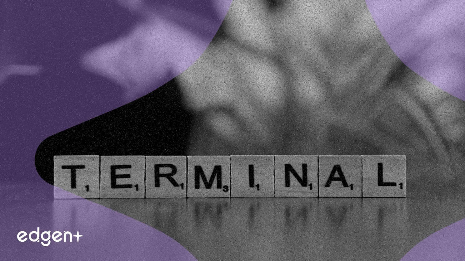 Les NFT du réseau Base surpassent leurs rivaux en nombre de ventes, propulsés par le projet de jeu DX Terminal