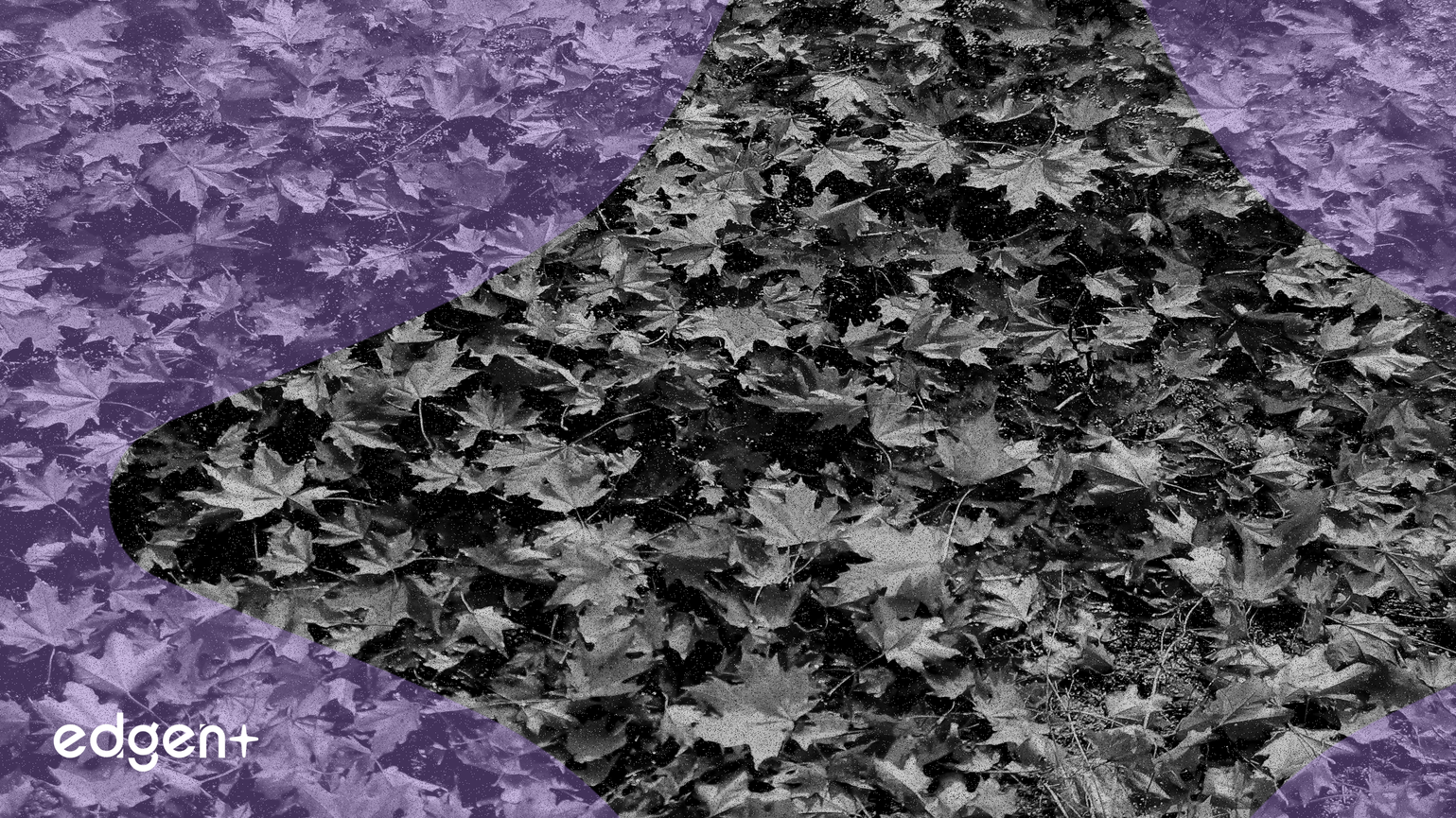 米中貿易関係の緩和が安全資産需要を減少させ、金価格が4,000ドルを下回る