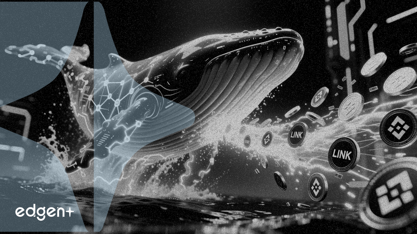 Balina, Binance'ten 4,81 Milyon Dolarlık LINK Token Çekti