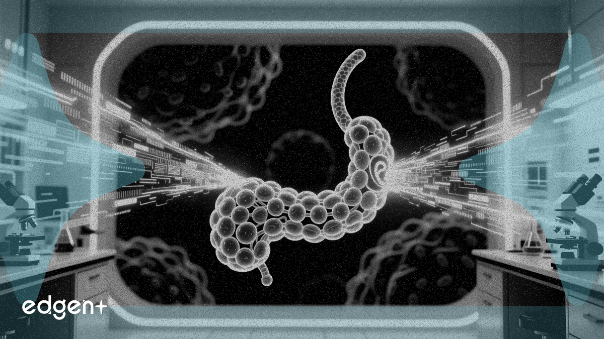 AIM ImmunoTech destaca dos fuentes de datos positivos sobre el cáncer de páncreas
