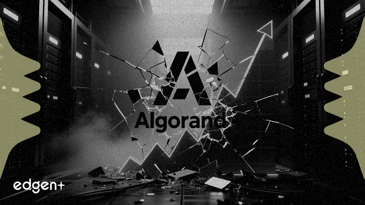 阿爾戈蘭德裁員25%，ALGO代幣較峰值下跌98%