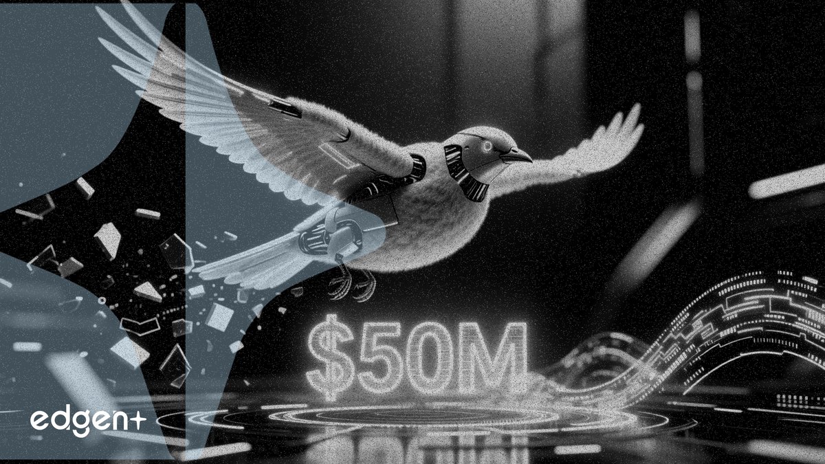 올버즈, 5,000만 달러 규모의 자금 조달과 함께 NewBird AI로 사명 변경