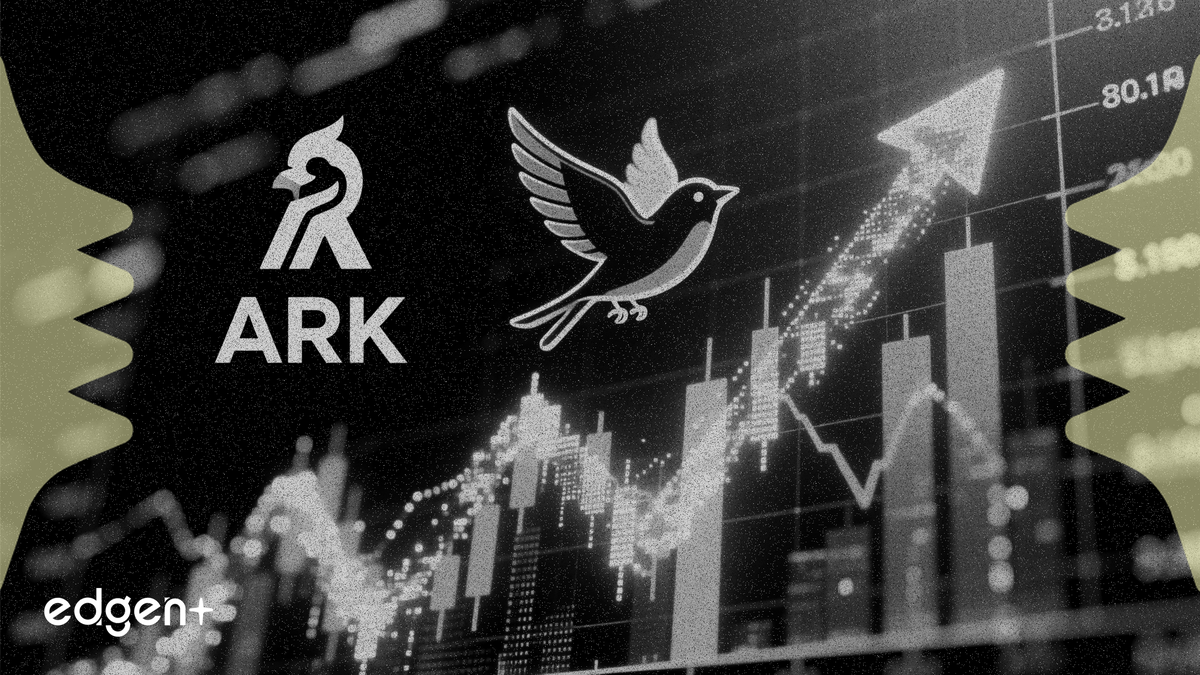 方舟投資斥資 1300 萬美元增持 Robinhood 股票，釋放看漲訊號