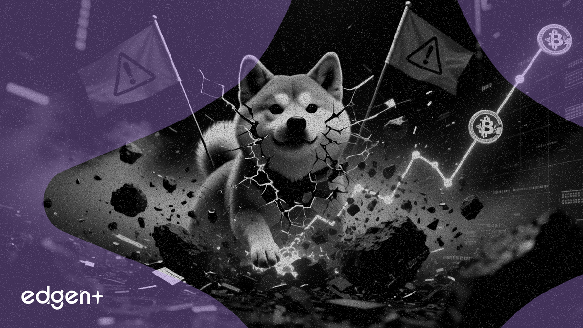 Asteroid Shiba在暴漲670,000%後因安全紅線警報降溫