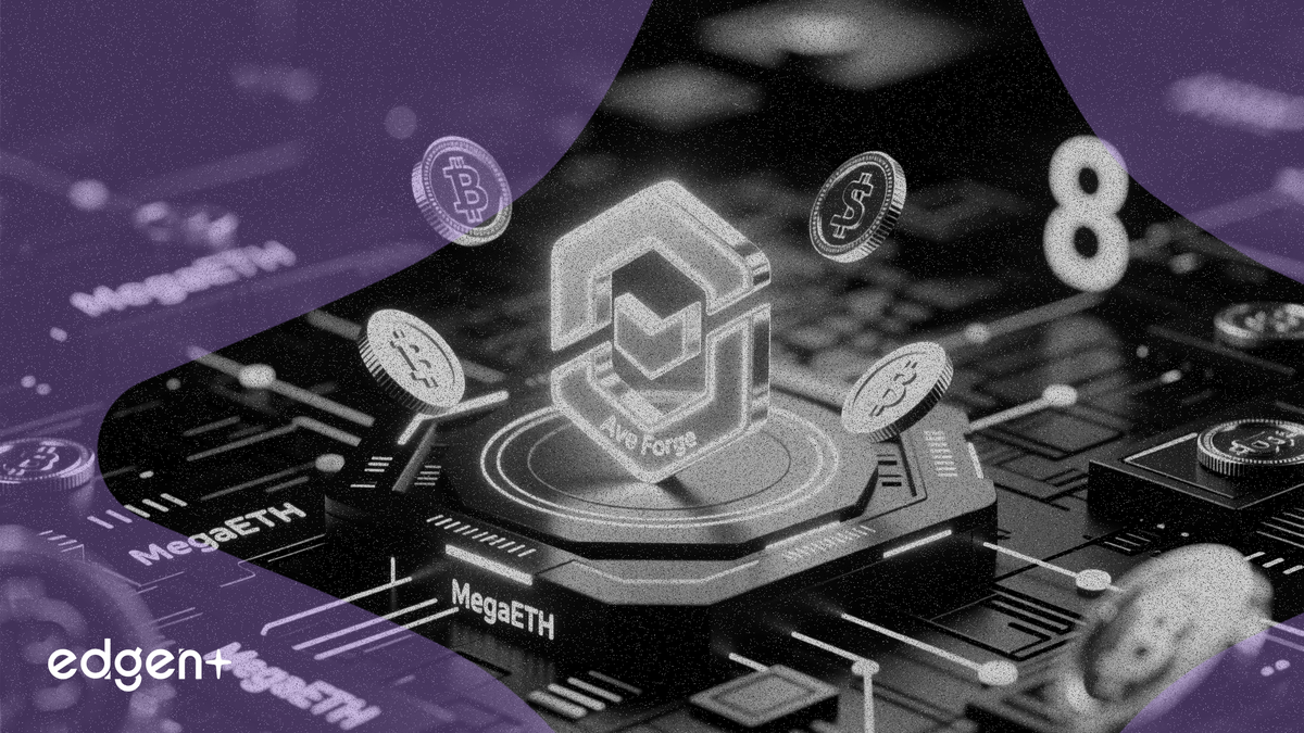 Airdrop de Ave Forge: 8 pasos para calificar en MegaETH