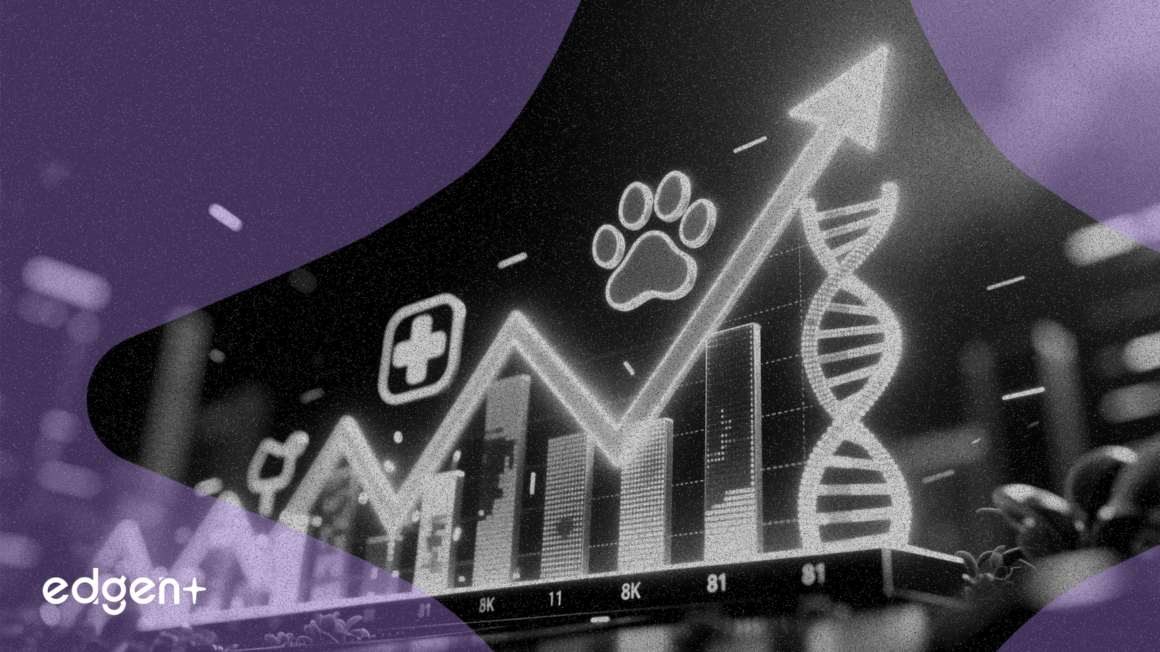 IDEXX Hisseleri, Evcil Hayvan Teşhisindeki Büyüme Nedeniyle %59 Yükseldi