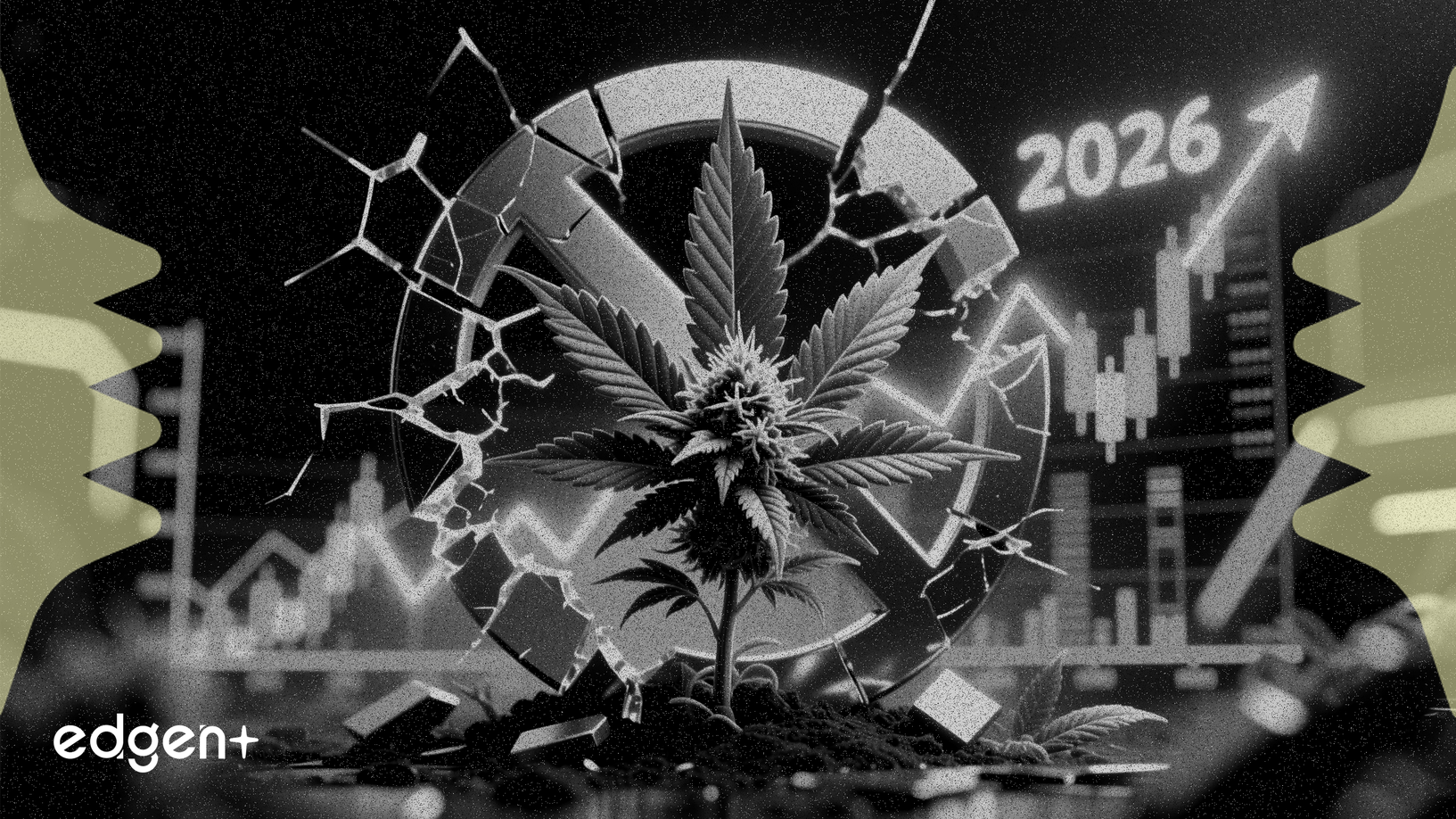 大麻股寄望美國重新分類，劍指2026年收益增長