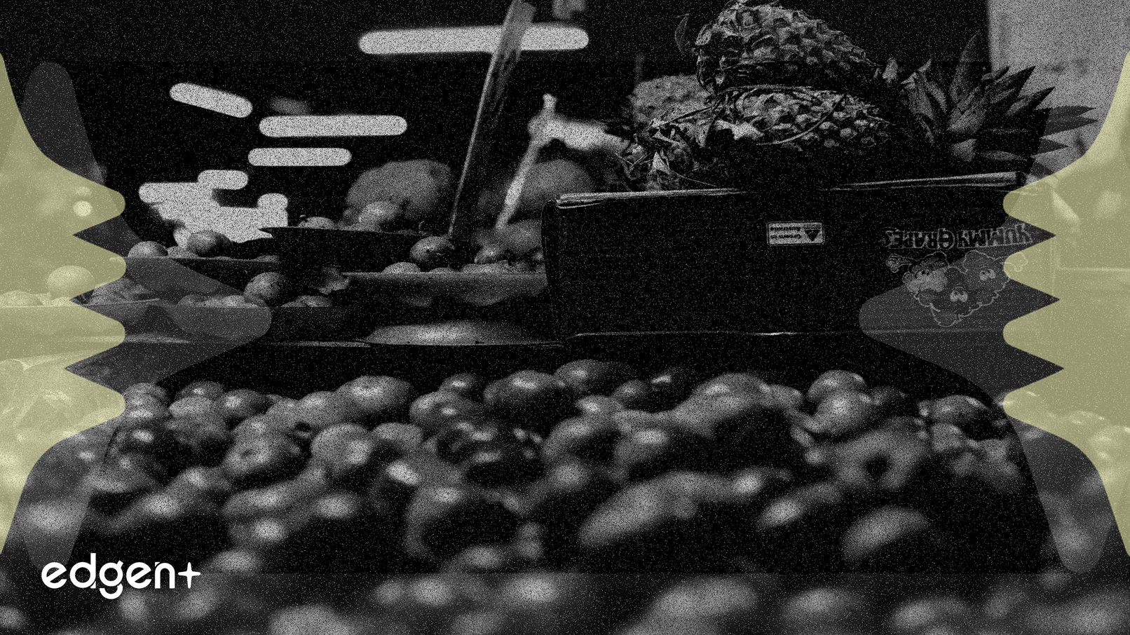 尽管盈利强劲，凯西百货股价仍下跌