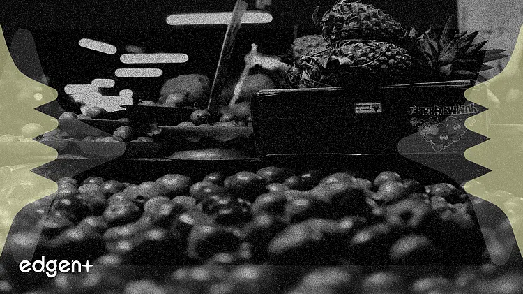 尽管盈利强劲,凯西百货股价仍下跌