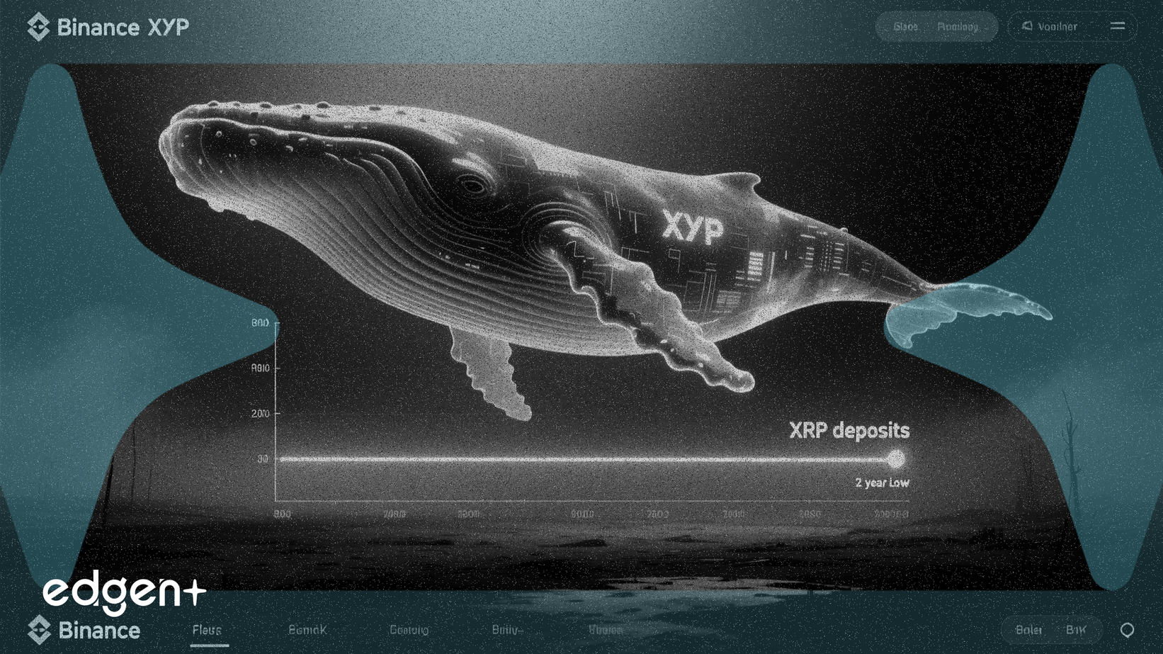Depósitos de Ballenas XRP en Binance Alcanzan Mínimo de 2 Años