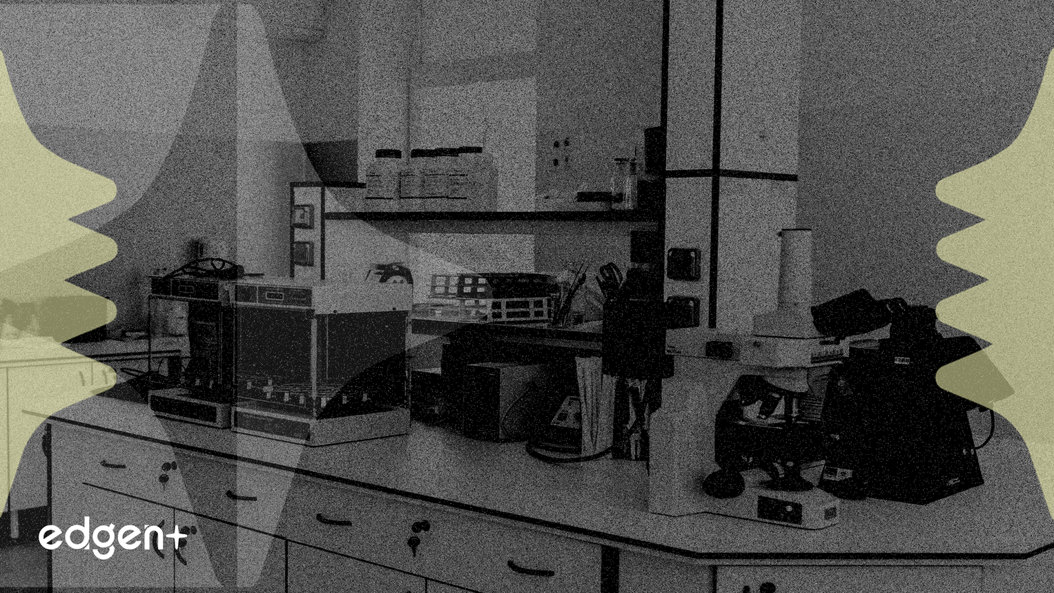 Caris Life Sciences Reaches Profitability On 81% Revenue Growth, Inks Roche Pact