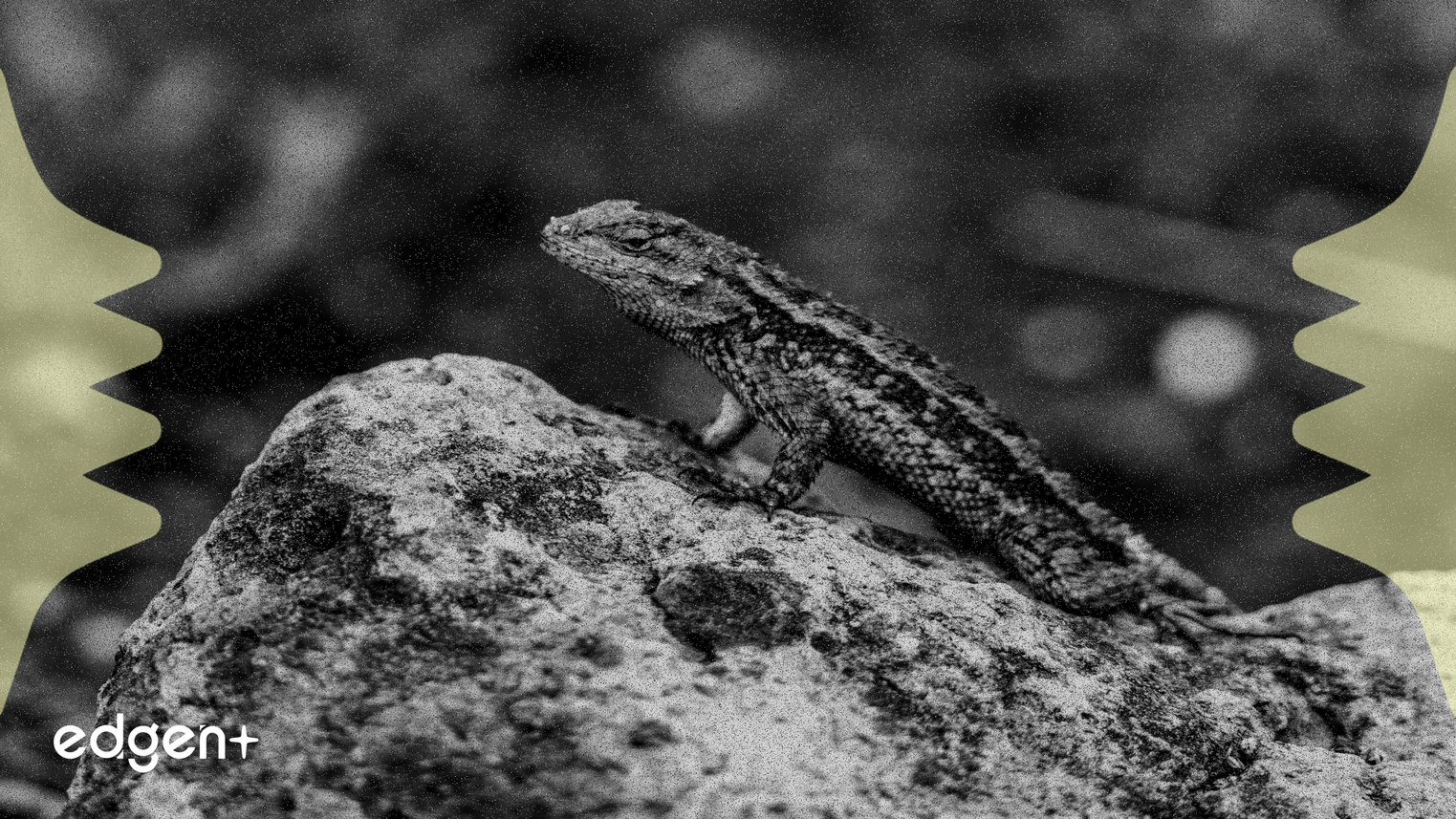 Global Markets Navigate Key Economic Data and Central Bank Policy Shifts