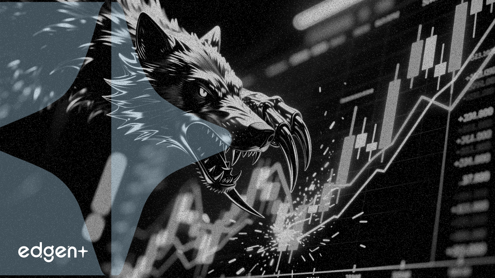 Le prix Wolverine met en lumière la stratégie malgré le déclin boursier