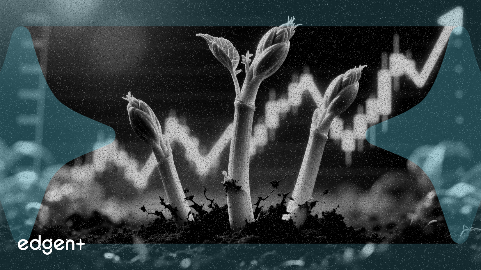 三檔農業股發出突破訊號，上行空間逾30%