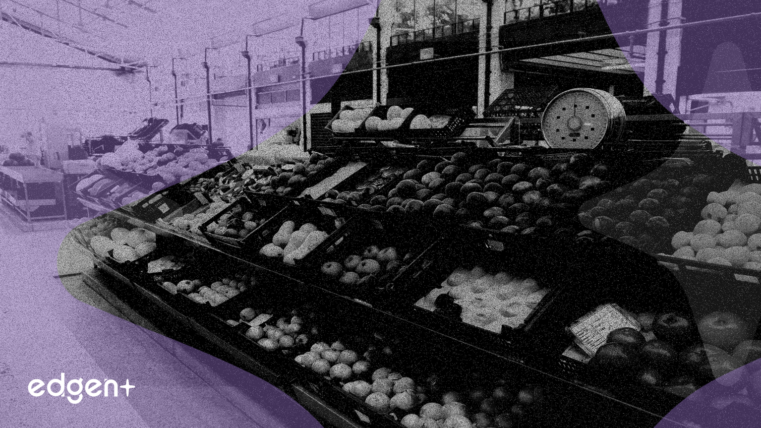 亞馬遜深化快速雜貨配送網絡