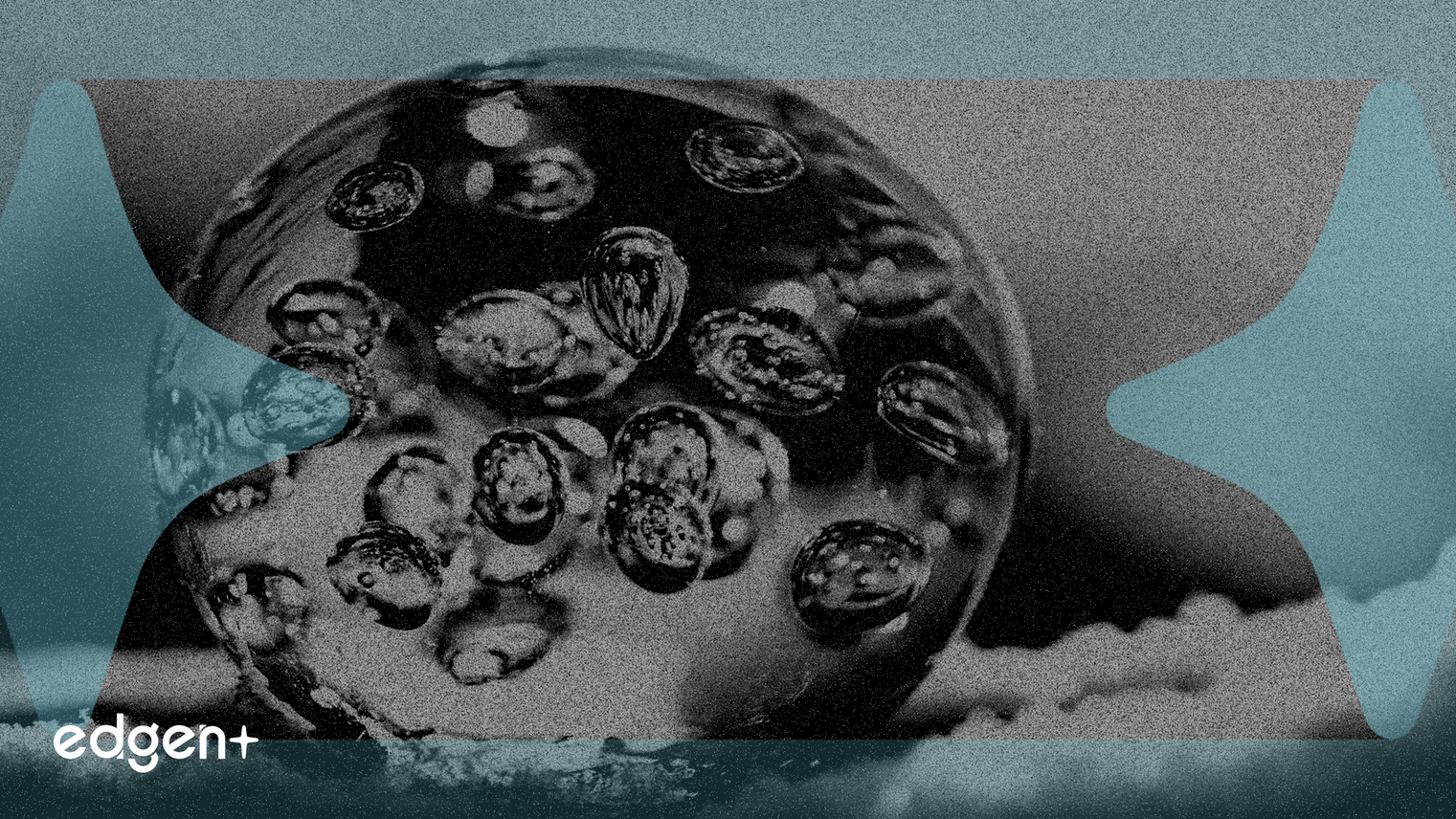 El mercado de la cadena de frío alcanzará los 22.300 millones de dólares en 2030 impulsado por la demanda farmacéutica y alimentaria