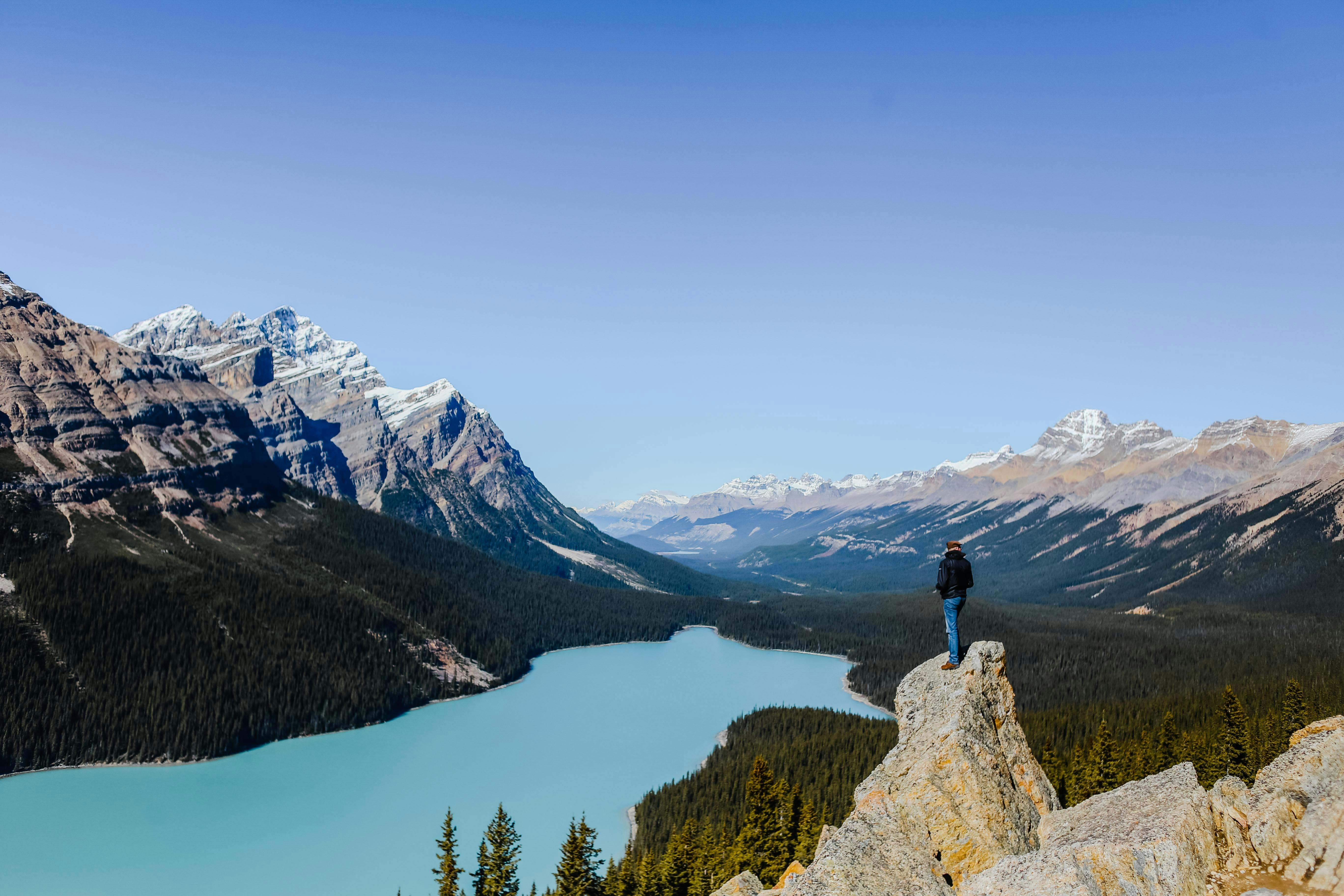 Neuralink Advances Human Trials with Canadian Expansion, Bolstering Neurotechnology Outlook
