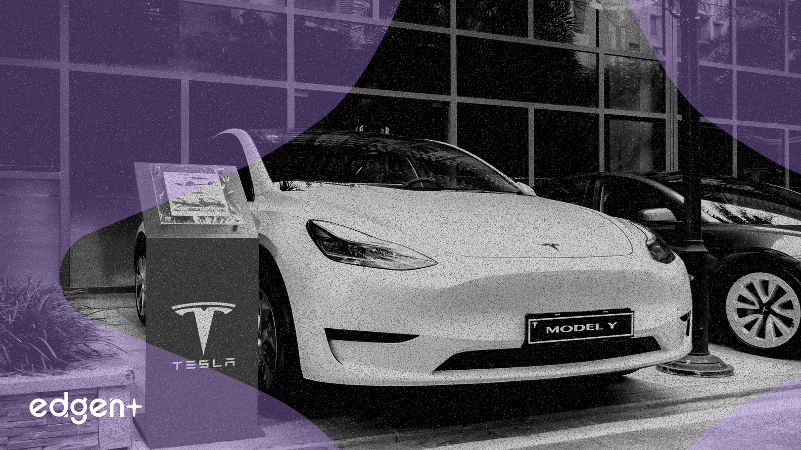 Tesla giới thiệu các phiên bản Model Y và Model 3 giá thấp hơn trong bối cảnh động lực thị trường thay đổi