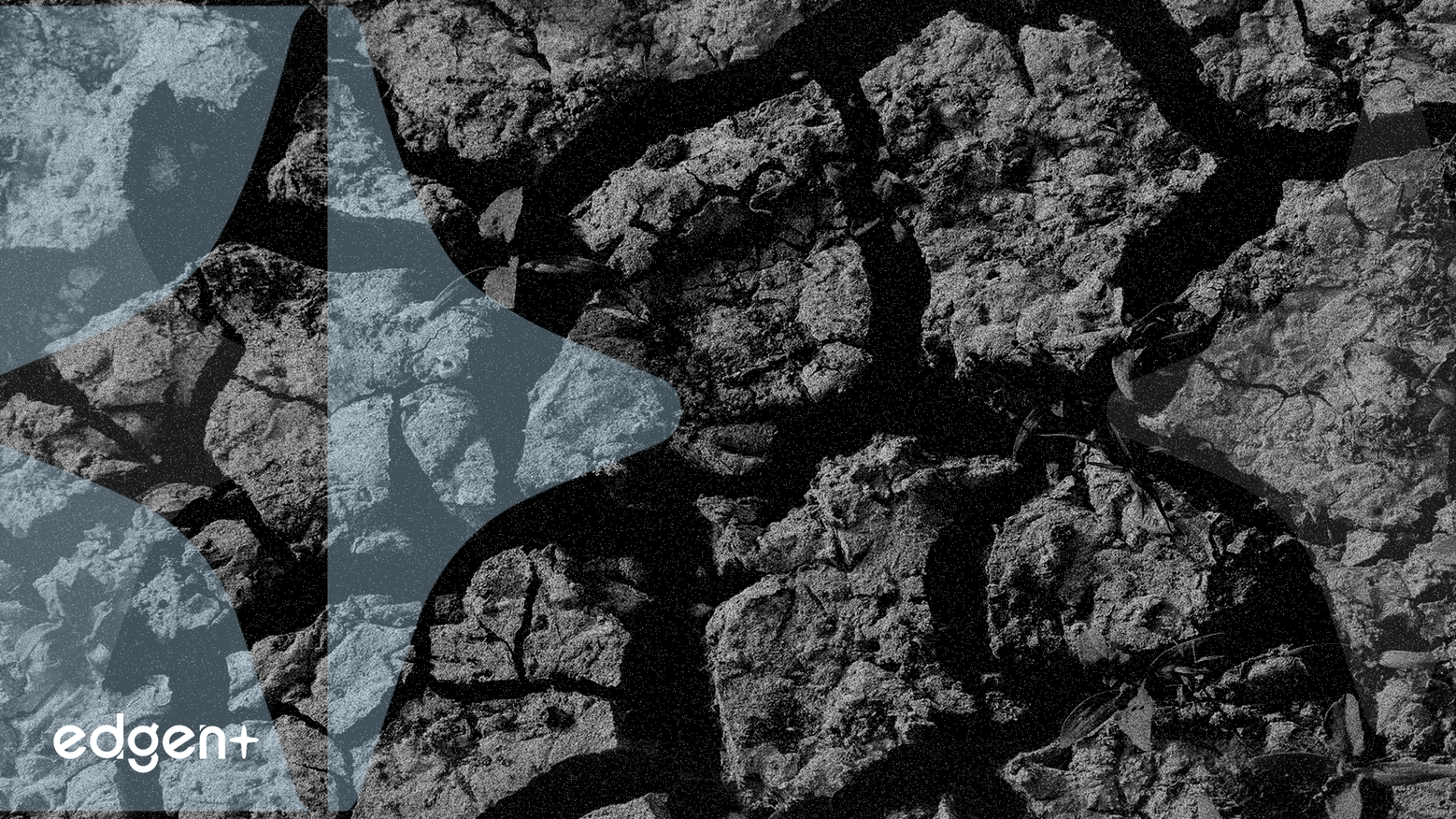 ICE Integrates Climate Data on Investortools Platform