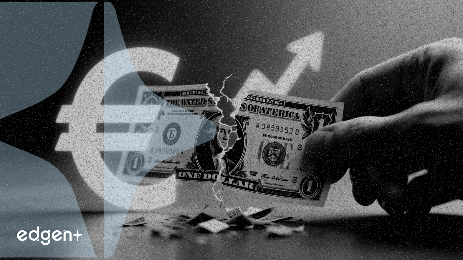 아문디, 달러 약세 전망에 미국 달러 보유량 축소