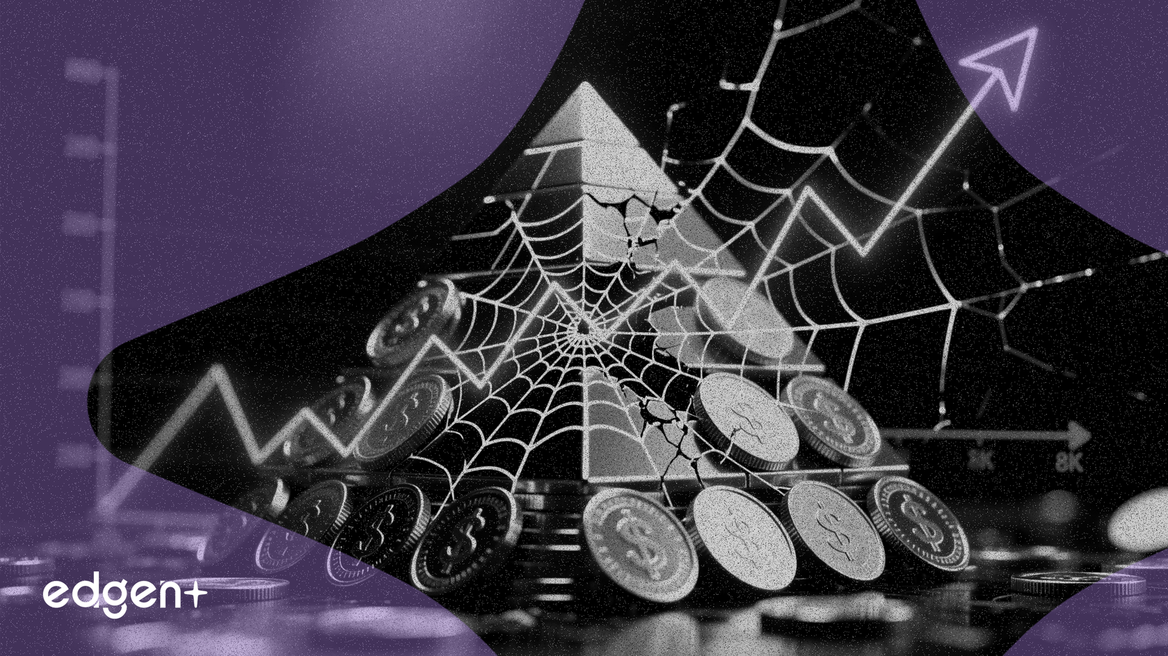 취약한 성장 지표, 현금 부유한 Chewy, Revolve, Sonos의 위험 노출