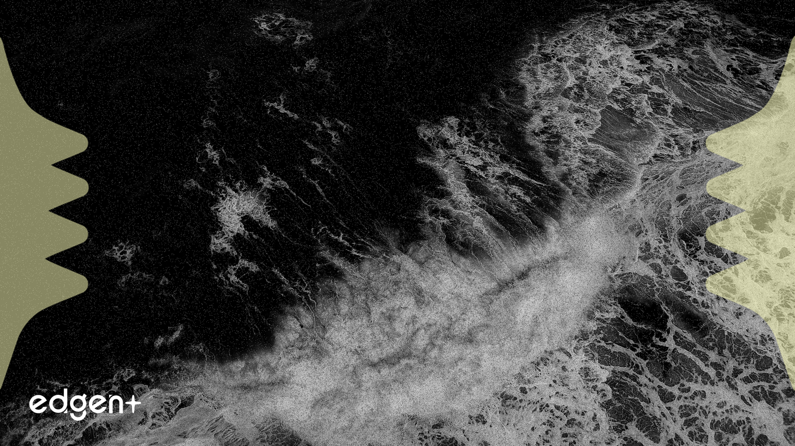 RVV項目團隊被指控清算80%的鎖定代幣，增加投資者風險