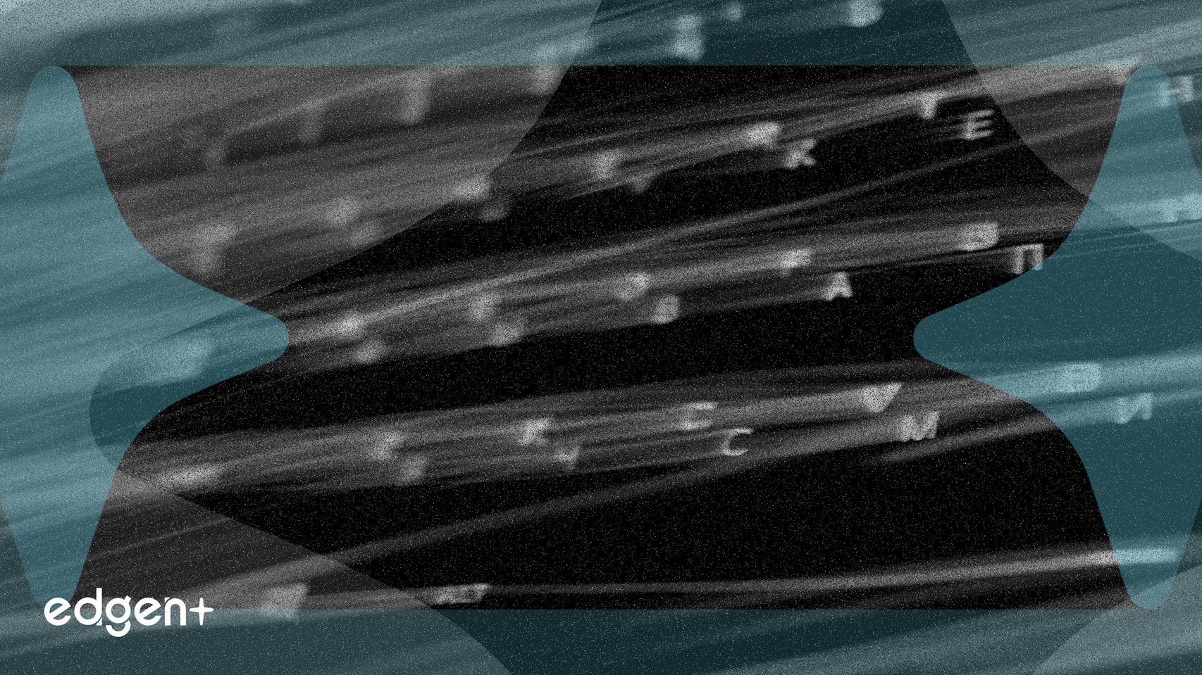 CommScope Stock Gains 199.4% on Strategic Pivot to Fiber