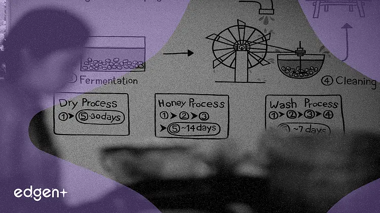 UniswapX 採用荷蘭式拍賣改進鏈上掉期交易,降低 MEV