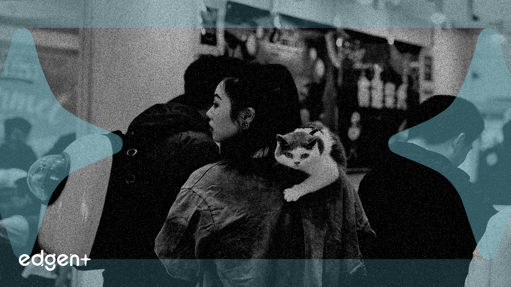 宇樹科技首家門店開業，引發中國機器人板塊漲停潮