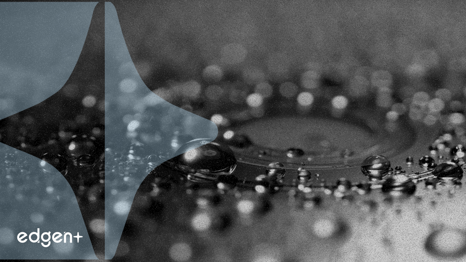 Stable, USDT Destekli Katman 1 Blockchain Gelişimi İçin 28 Milyon Dolarlık Tohum Fonu Sağladı