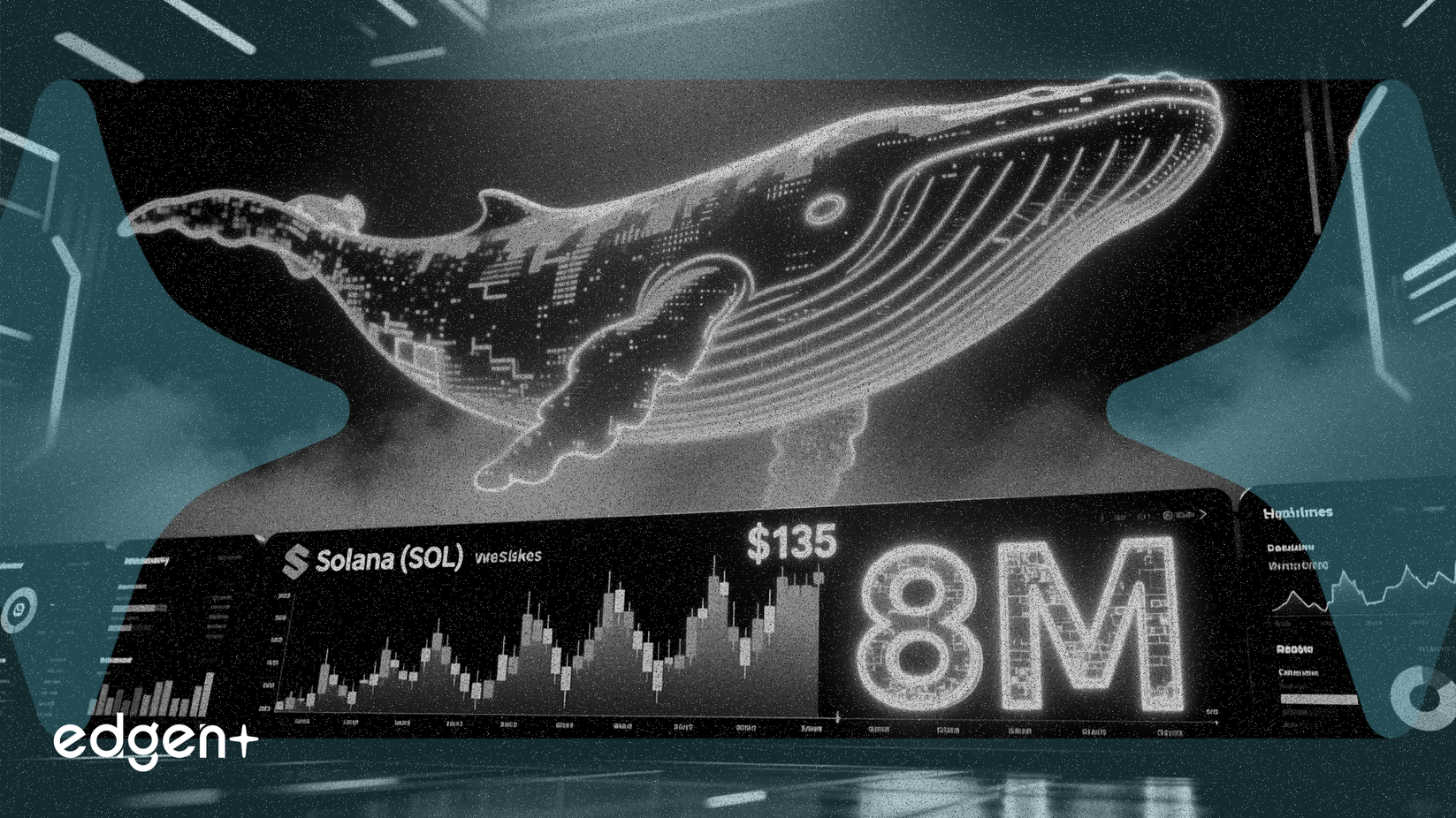Una ballena realiza una orden de compra de 8 millones de dólares para Solana al nivel de precio de 135 dólares