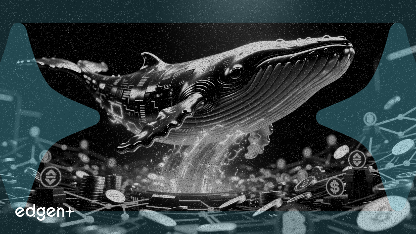 巨鲸利用USDC进行大规模AAVE积累