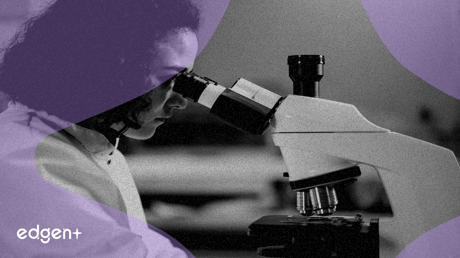 Hızlandırılmış ABS-201 Klinik Deneme Takvimi ile Absci Hisseleri Yükseliyor