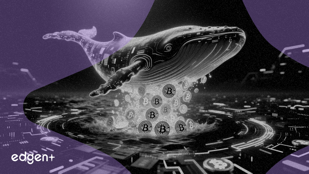 巨鯨活動活躍，比特幣平均交易所充值額達到 2.62 BTC