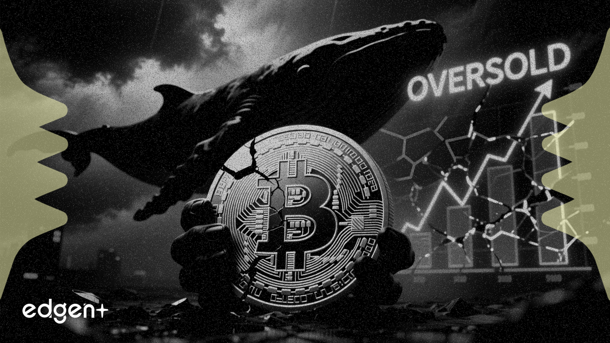 比特幣佔鯨魚投資組合83%，山寨幣閃現超賣信號