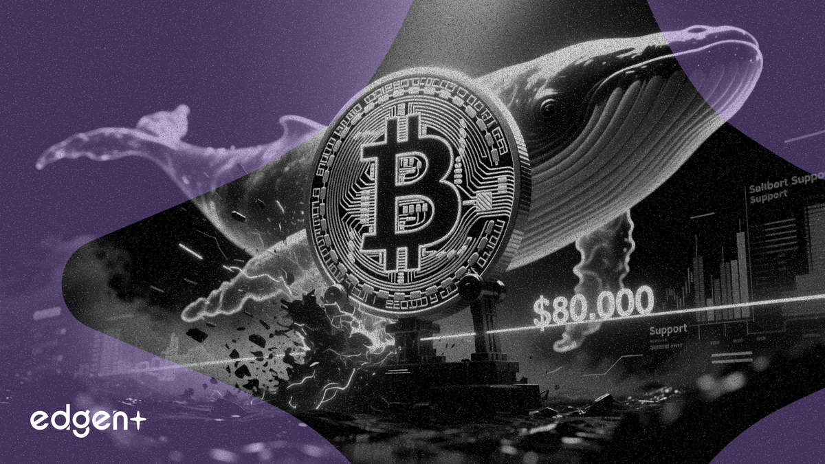 El 8 de mayo de 2026, el precio de Bitcoin volvió a subir por encima de los 80.000 dólares después de que los inversores ballena defendieran un rango de precios crítico para evitar una venta masiva.