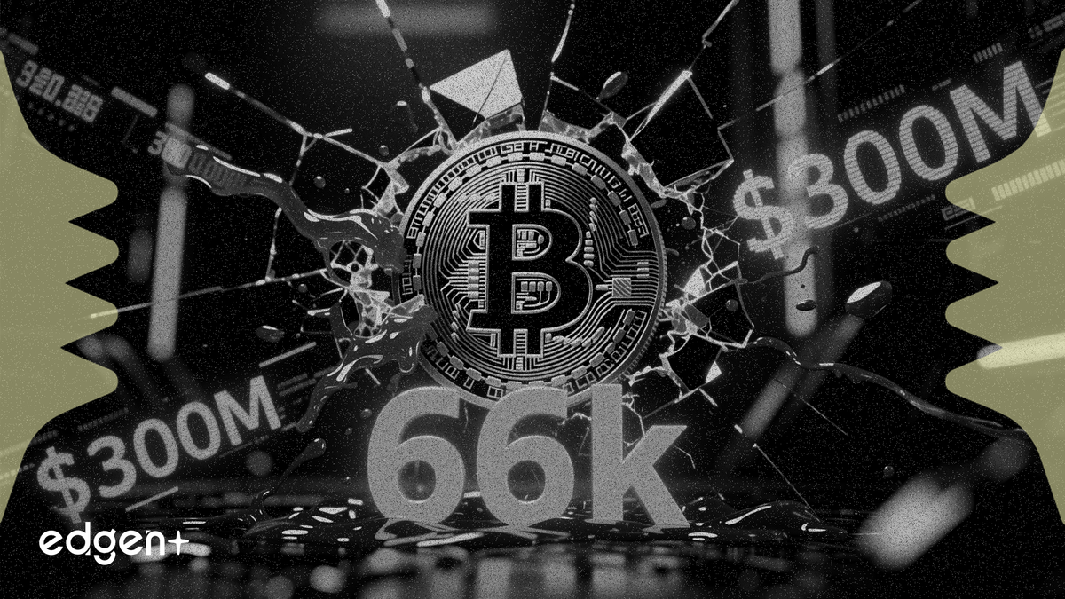 比特幣多單爆倉額突破 3 億美元，幣價守住 6.6 萬美元關口