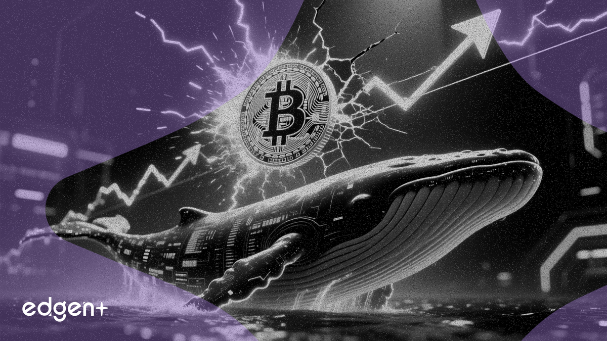 Bitcoin vượt ngưỡng 73.000 USD khi lượng nạp của cá voi chạm mức thấp nhất trong 10 tháng