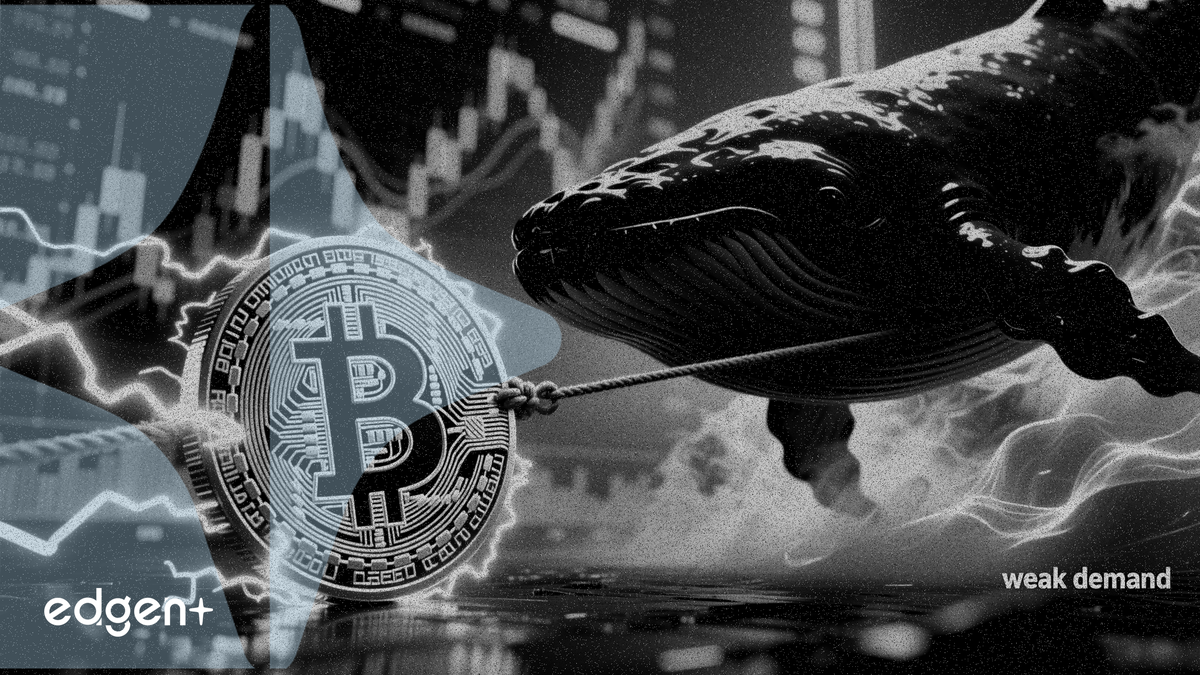比特幣在 6.6 萬美元附近波動，巨鯨囤貨遭遇美國需求疲軟