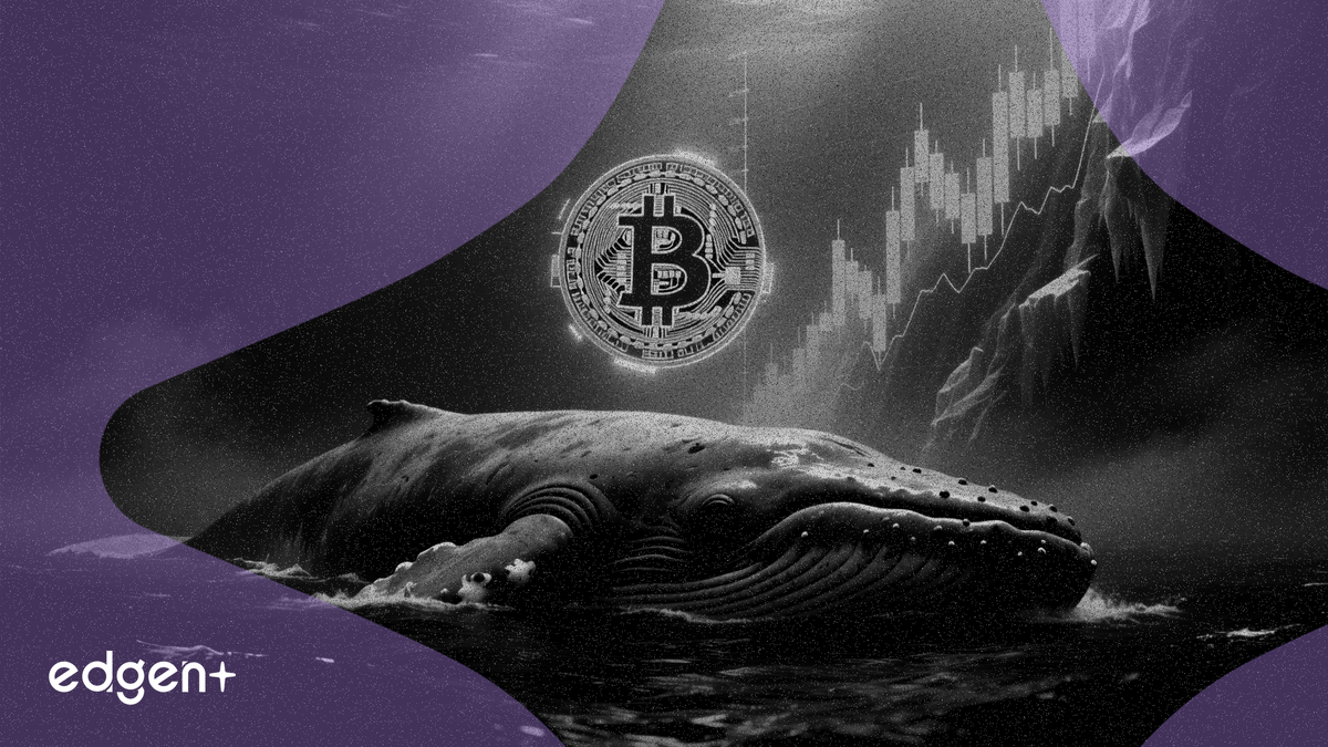비트코인 고래 축적 둔화, BTC 수요 피크 대비 42% 급감
