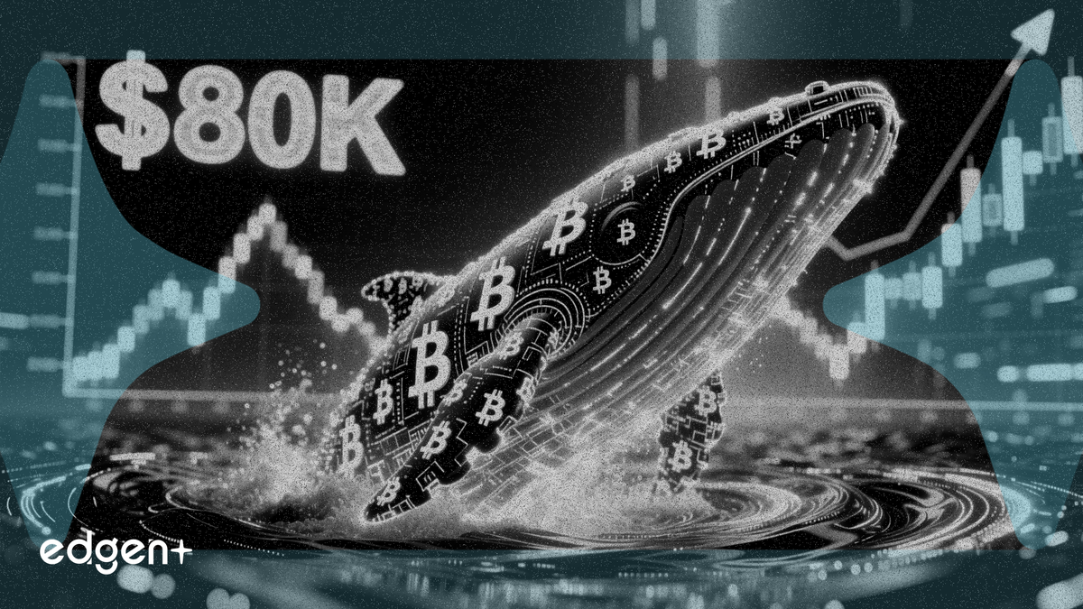 Bitcoin Whale Holdings Rise to 3.09M BTC, Eyeing $80K