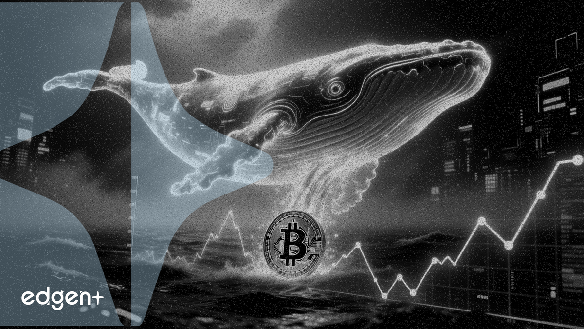 比特幣價格跌至 77,480 美元，巨鯨空單未實現收益達 585 萬美元