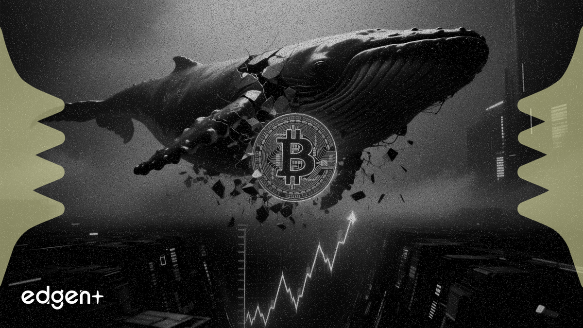 比特幣巨鯨出售 300 枚 BTC，虧損 882 萬美元