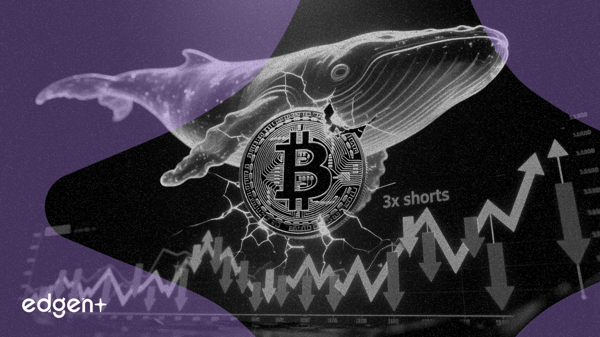 比特幣鯨魚訊號顯示空單規模達多單 3 倍，價格在 6.7 萬美元附近徘徊
